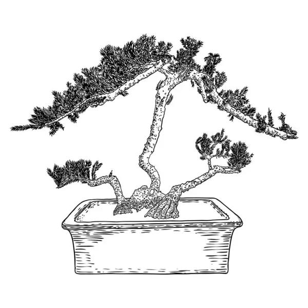 Květináči Rostl Japonský Strom Bonsai Liniové Umění Mini Stromku Větvemi — Stockový vektor