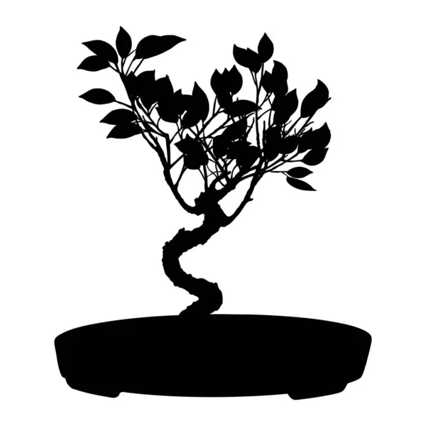 Forma Árvore Bonsai Planta Árvore Silhueta Mão Desenhada Arte Cultura — Vetor de Stock