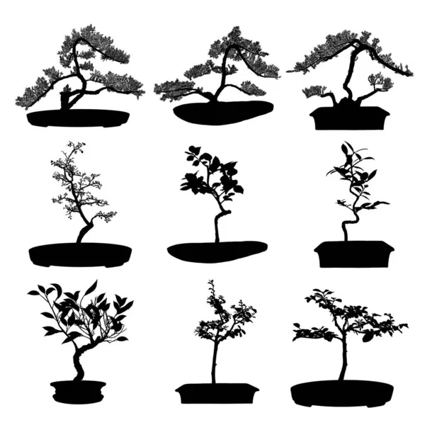 Σετ Μαύρης Σιλουέτας Δέντρου Bonsai Φυτέψτε Λευκό Φόντο Λεπτομερής Μεμονωμένη — Διανυσματικό Αρχείο