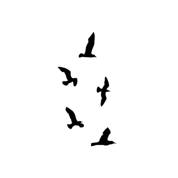 Набор Птиц Чаек Набросок Татуировки Моряка Силуэты Морской Чайки Белом — стоковый вектор