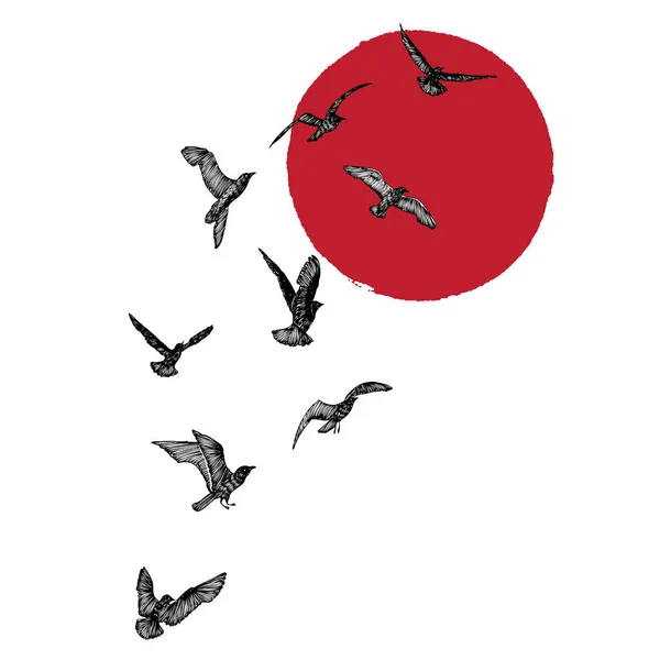 Ensemble Conception Nautique Emblème Océan Avec Les Mouettes Troupeau Oiseaux — Image vectorielle