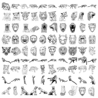 Kaplan leoparlar ve jaguarlar çeşitli pozlarda yavru hayvanları besler. Büyük kediler portreleri kafalarında ve ağızlıklarında taşırlar. Canlı ve taş heykeller ve süslemeler için heykellerden yapılmış. Zodiac ve ay sembolleri. Vektör. 