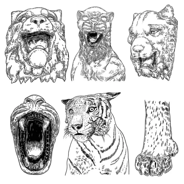 Conjunto Grandes Tigres Adultos Colección Fauna Silvestre Depredadores Exóticos Grandes — Vector de stock