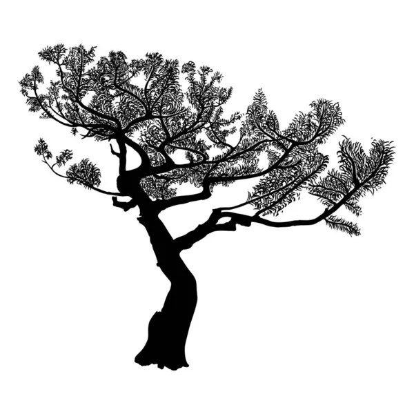 Arbre Réaliste Isolé Sur Fond Blanc Silhouette Épinette Pin Sapin — Image vectorielle