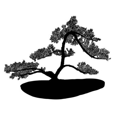 Bonsai Japon ağaç silueti saksı ve kabın içinde büyüyor. Gerçek ağaçtan çiziyorum. Bonsai tarzında dekoratif küçük bir ağaç, hobi. Vektör.