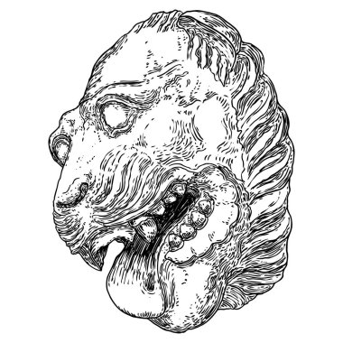 Kaplan başlı dekoratif, kükreyen, amblem, rozet ya da etiket için kedi suratlı. Beyaz arka planda izole edilmiş kaplan hırıltısı portresi. Vektör.