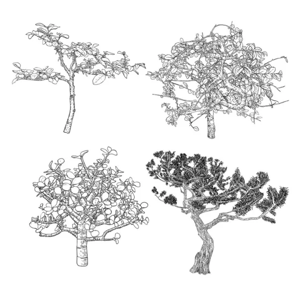 Realistiska Träd Isolerade Vit Bakgrund Set Insamling Granar Tall Buskar — Stock vektor