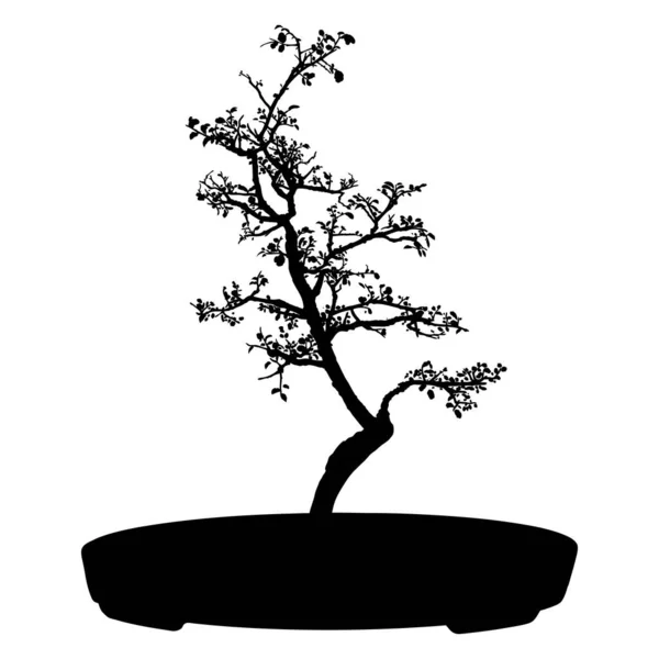 白地に盆栽の木の黒いシルエット 詳細な分離画像 鍋にミニツリーを成長させる装飾芸術趣味 アジア系 ベクトル — ストックベクタ