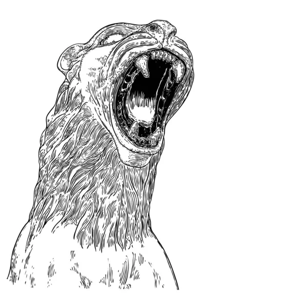 Kükreyen Kaplan Yüzü Çizimi Siyah Beyaz Hırlayan Kaplan Kafası Kızgın — Stok Vektör