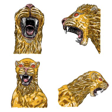 Taş ve mermerden yapılmış kaplan yüzleri ve kafaları. Süslü hayvanlar, kükreyen ve hırlayan kaplanlar. Sinyal maskotu ve Zodyak Yeni Yıl sembolü tarzı. Vektör. 