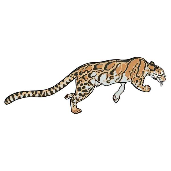 Desenho Leopardo Mão Sobre Fundo Branco Retrato Desenhado Mão Ilustração —  Vetores de Stock