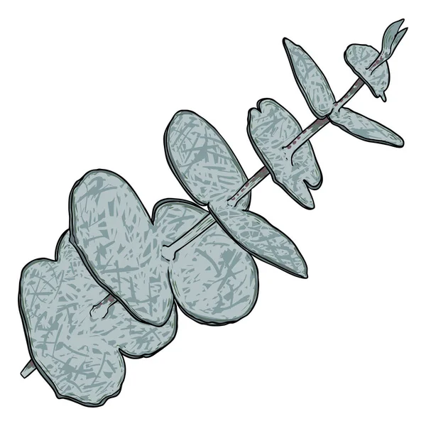 Eukalyptové Větve Izolované Bílém Pozadí Ruční Kreslení Akvarel Imitace Větvička — Stockový vektor