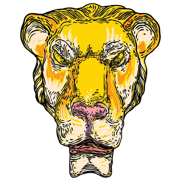 Tête Tigre Décorative Rugissante Visage Chat Pour Emblèmes Badges Étiquettes — Image vectorielle