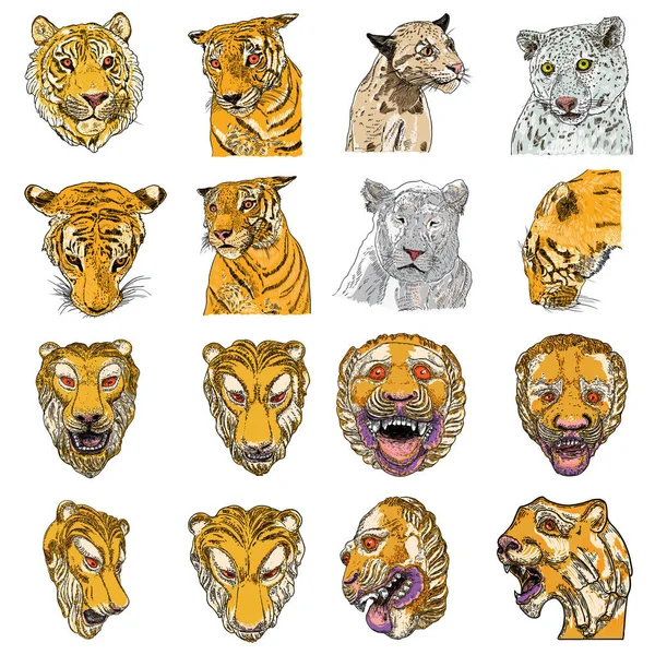 Zestaw Twarzy Tygrysa Lwa Pochodzących Żywych Zwierząt Lamparty Jaguary Ryczące — Wektor stockowy