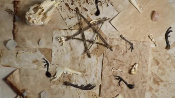Yaşlı Cadılar Boş Sayfaları Pentagram Cadılık Objeleriyle Doldururlar Keçi Kafatası — Stok video