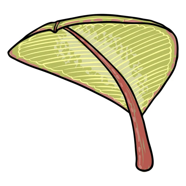 Plumeria Pflanzenblätter Exotische Tropische Dschungel Blumen Plumeria Blatt Für Dekoration — Stockvektor