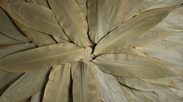 Bambù Verde Lascia Sfondi Rotazione Lenta Foglie Bambù Alimentare Sfondo — Foto Stock