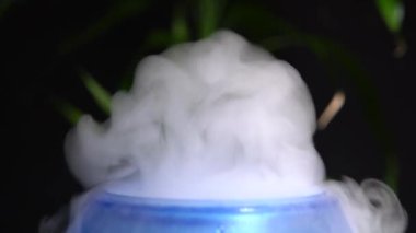 Gerekli yağ dağıtıcı ve nemlendirici karıştırılmış su buharı ile kapatılıyor. Bulanık bambu bitkisiyle koyu loş ışık arkaplanı. Rahatlama masajı ve vücut tedavisi için sağlık spa buharı ve ortam.