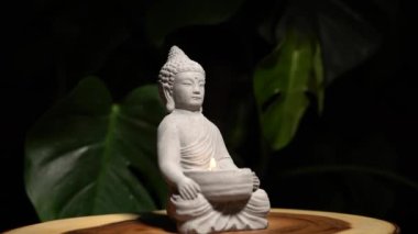 Tahta masa yüzeyindeki taştan yapılmış Buda doğal egzotik orman yeşili arka planda canavar bitkisi ile birlikte. Yanan mum ateşiyle Buda heykeli.