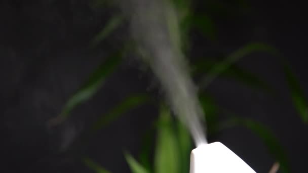Эфирный Масляный Диффузор Увлажнитель Вблизи Смешанным Водяным Паром Темный Тусклый — стоковое видео