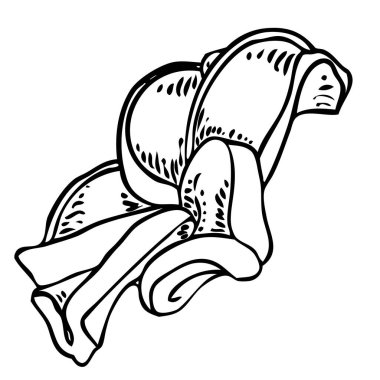 Plumeria açık tomurcuklar. Geleneksel Hawaii tropikal kolyesi ya da boyun çelengi çiçek tasarımı elementi. Hoş geldin davetiye dekorasyonu. Gerçek Plumeria 'dan çizim sanatı. Vektör.