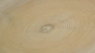 Tahta daire kütük gövde arka planı üstten. Testere kesimi ağaç dönüşünü kesti.