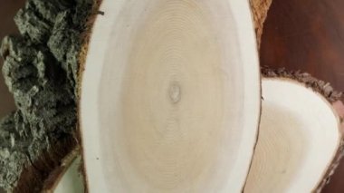 Ağacın çapraz kesiminde yaş halkaları var. Daire şeklinde ahşap kesit kesimi ya da kesik ağaç gövdesi deseni ve yaş halkası çizgileri..