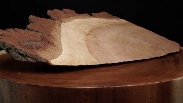 Textura de casca de tronco de árvore da floresta. Foco seletivo. Material de biomassa baseado em plantas. Vista de perto da textura de cortiça de fibra e casca de corte transversal de árvore de madeira real. Fundo orgânico. — Vídeo de Stock