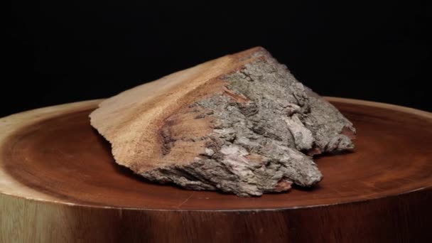 Structura unei fibre ciot și scoarță dintr-un trunchi de copac tăiat ferăstrău. Materiale pe bază de biomasă utilizate ca combustibil. Vedere apropiată a texturii fibrelor și plutei de lemn real tăiat cruce. Fundal organic. — Videoclip de stoc