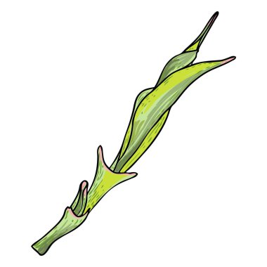 Bahar çiçeği yaprakları ve taze filizler. Bahar bitkisi dalları, nergisler, laleler, timsahlar ve Lily gibi. Bahar otu ve yosun. Vektör.