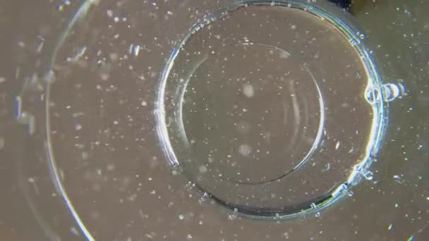 Glass of contaminated water. Slow motion and view from below of glass. Dirt and debris slowly drift in drinking water. Environmental pollution problem. — Stock Video