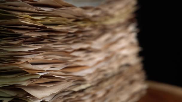 Eskiler 'in parşömen kağıtları seçici odak değişimi, eskimiş yanmış kağıt stokları. Kaligrafi biyografisi kayıtları ve kitap yapımı için kağıt. — Stok video