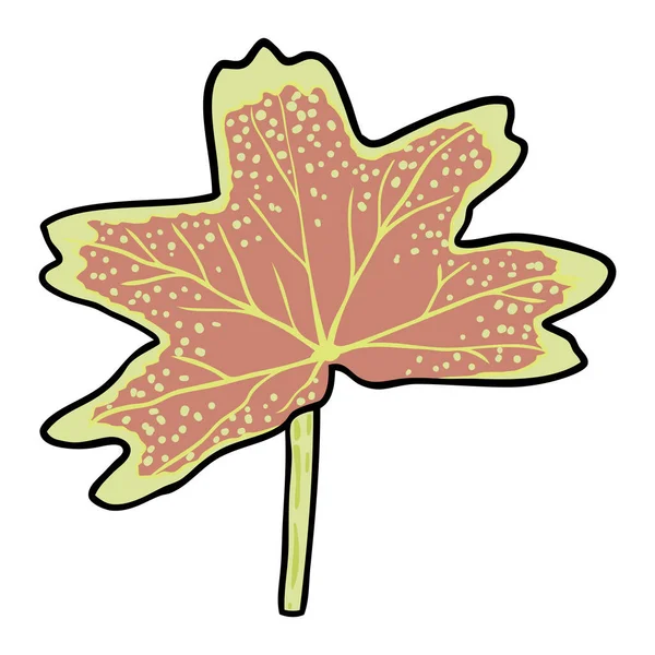 蒲公英叶或温哥华百年石榴植物叶 菊花郁郁葱葱 植物色彩画 橙色和粉色 — 图库矢量图片