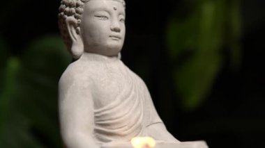 Tahta masa yüzeyindeki taştan yapılmış Buda doğal egzotik orman yeşili arka planda canavar bitkisi ile birlikte. Yanan mum ateşiyle Buda heykeli.