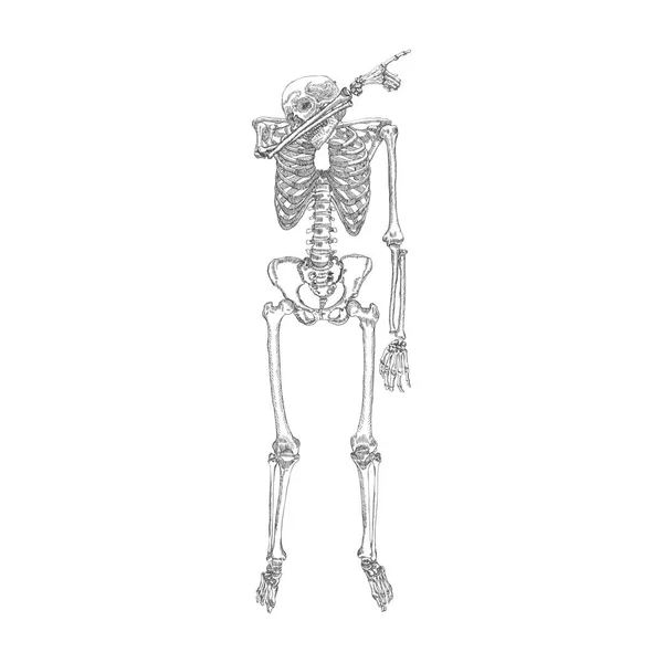 Menschliches Skelett Tupft Tupft Tanzbewegungen Posiert Auf Weißem Hintergrund Vektor — Stockvektor