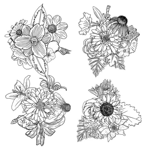 Lot Bouquets Vectoriels Floraux Vintage Pétunia Épeautre Aster Pavot Camomille — Image vectorielle
