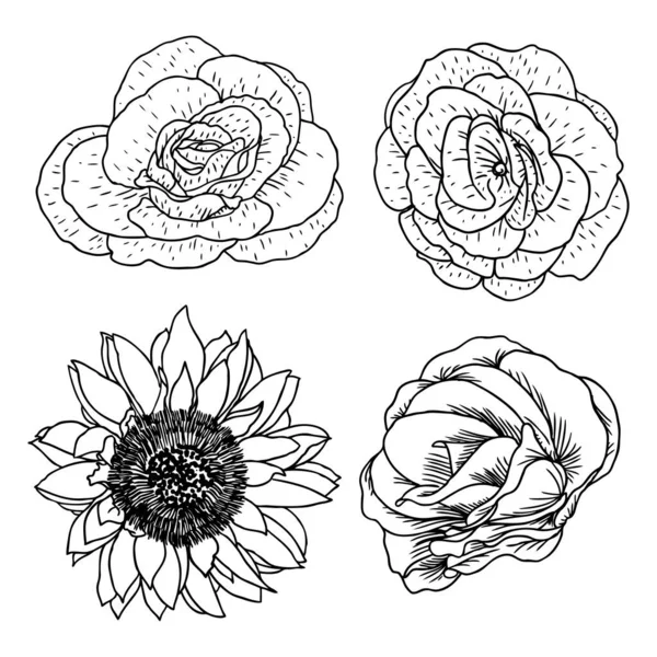花のセット 手描きの黒と白の花のコレクション ベクトル — ストックベクタ