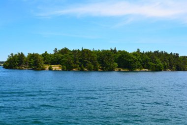 1000 adalar bölgesi. Güneşli yaz günü. Rocky Adası St. Lawrence Nehri üzerindeki çam ağaçları ile taçlandırılmıştır. Kingston, Ontario, Kanada. Filtre uygulanmamış, doğal aydınlatma. Turist yaptıkları.  