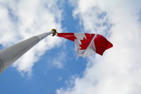 Kanadská Vlajka Javorový List Pólu Fouká Vítr Létě Sunny Modré — Stock fotografie