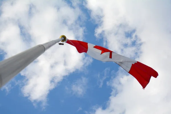 Kanadská Vlajka Javorový List Pólu Fouká Vítr Létě Sunny Modré — Stock fotografie