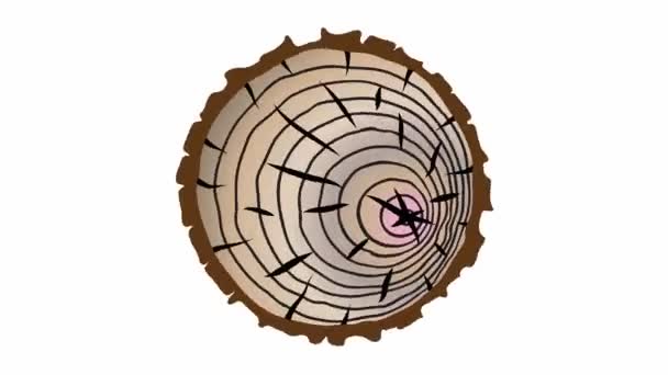 Cross section of the tree with age rings motion graphic animation. Circular piece of wood cross section cut or saw cut tree trunk with texture pattern and age ring lines rotation, digital drawing. — Stock Video