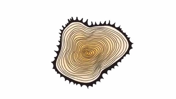 Círculo de madera tronco tronco fondo de animación superior. Corte de sección transversal de madera de árbol de rotación con anillos de edad de árbol de dibujos animados digitales. — Vídeo de stock