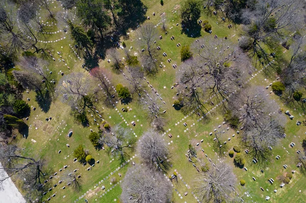 Aerial Top Very High View Modern Cemetery City Small Headstones — Stockfoto