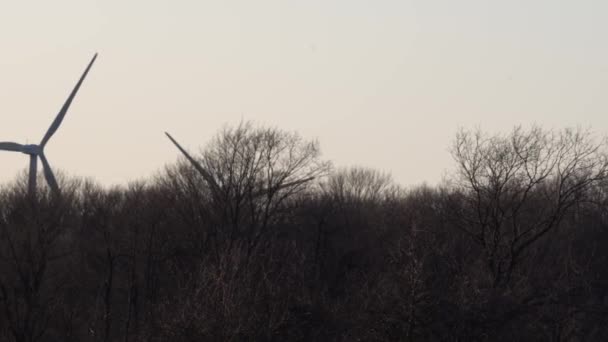 Turbina eólica con palas en la vista del paisaje de campo. Cielo azul con panorama de granja. Granja de molinos de viento que genera energía verde. Energía alternativa sostenible. Lente de teleobjetivo de movimiento lento. — Vídeo de stock