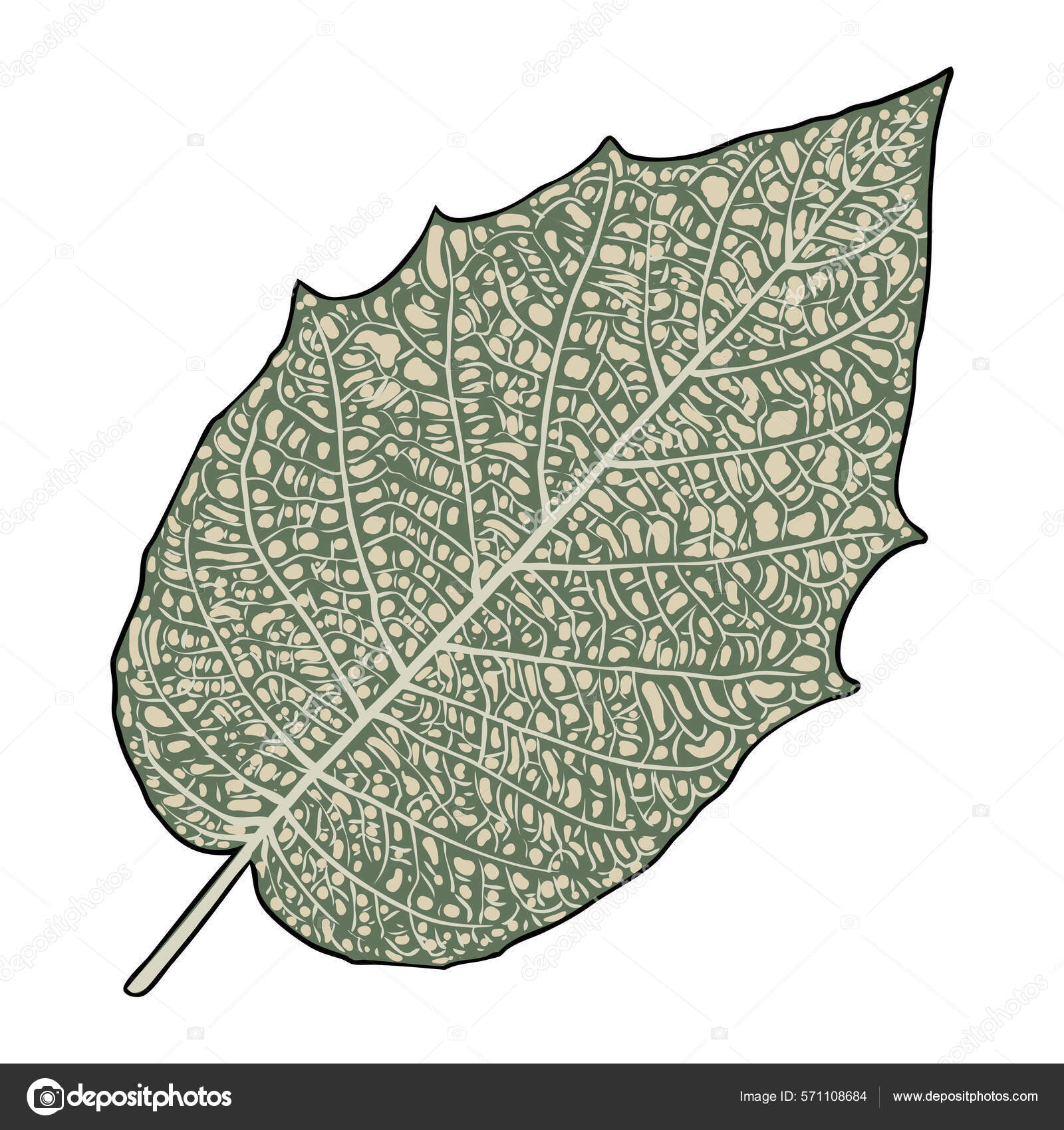 Floresta Arbustos Capim Folhas Folhagem Verde Desenho Animado Ilustração do  Vetor - Ilustração de arte, nave: 191851191