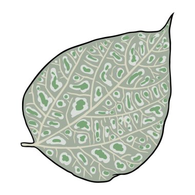 Yeşil orman eğreltiotu, el çizimi sanat yaprakları, gerçek doğal yapraklardan yapılmış. Park bitkileri yaprak, yapraklar ve genç eğreltiotları. Vektör.