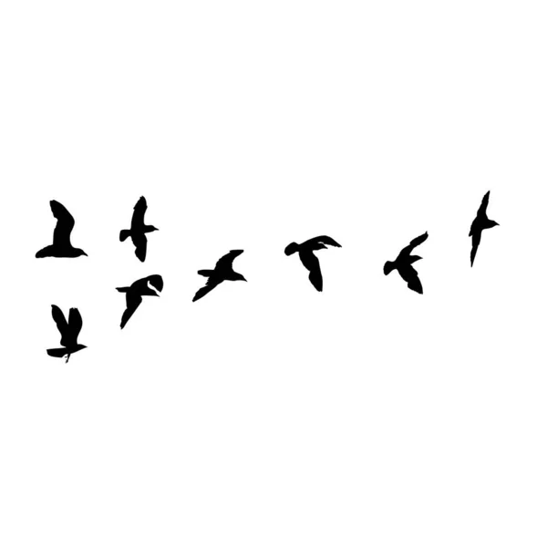 Набір Птахів Чайок Морський Матрос Татуювання Ескіз Чорний Штрих Літаючих — стоковий вектор