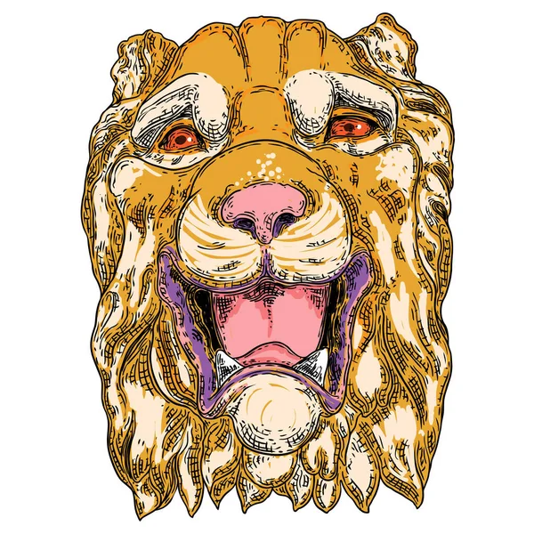 Tigre Rugiendo Ilustración Cara Cabeza Tigre Gruñido Color Retrato Gato — Vector de stock