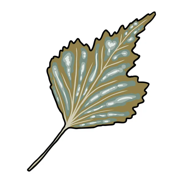 Grüner Waldfarn Handgezeichnetes Laub Aus Echten Natürlichen Blättern Dekorative Domestizierung — Stockvektor