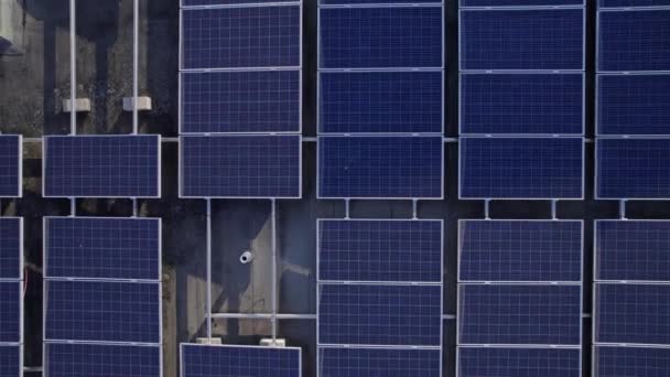 Paneles Centrales Solares Edificio Del Techo Escuela Hora Dorada Energía — Vídeo de stock